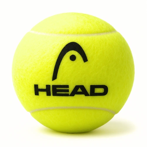 Head